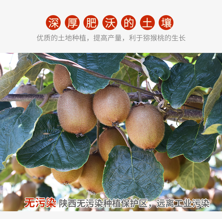 ����⨺���